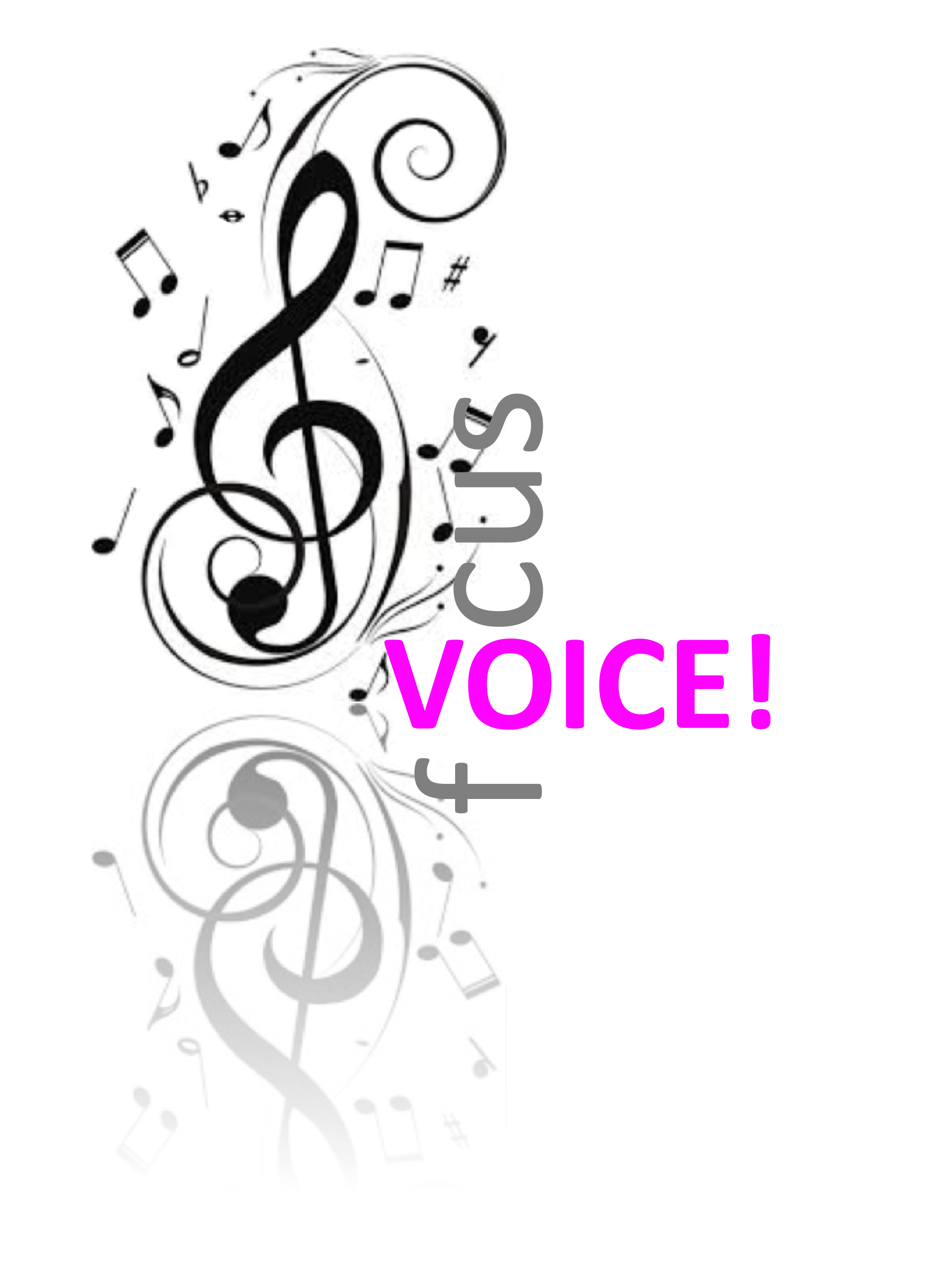 focus voice info magpie