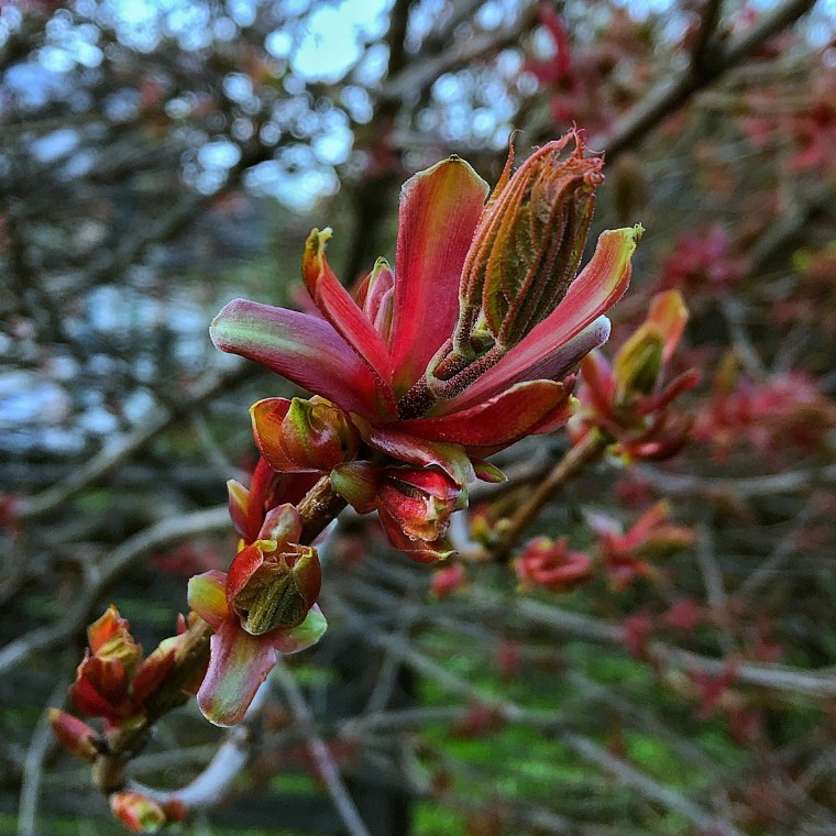 384181A6-CD98-4D21-91EB-9A99E364D877