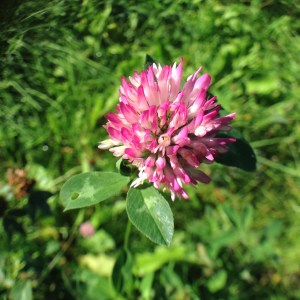 96B632B6-4C94-407E-B098-41ABD0300A13