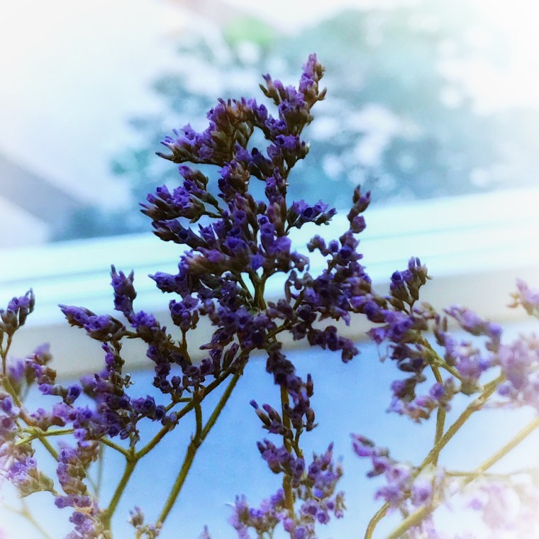 A972B0BD-A84C-46F1-8A7A-E2489DAA8BB4